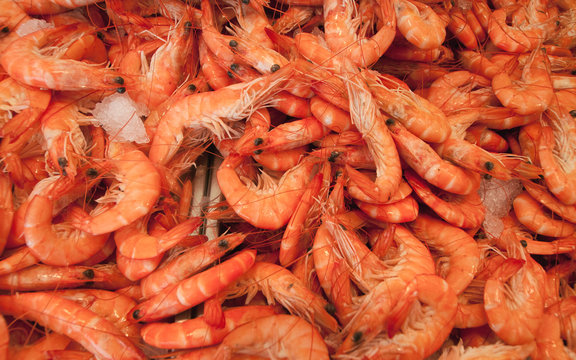 Shrimps. The fish market