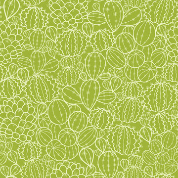 Vector cactus plants seamless pattern background with hand drawn