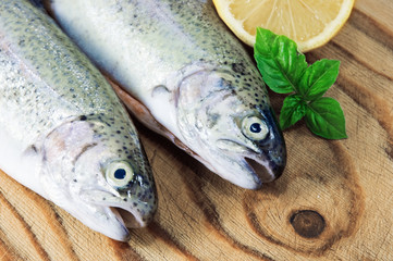 trout