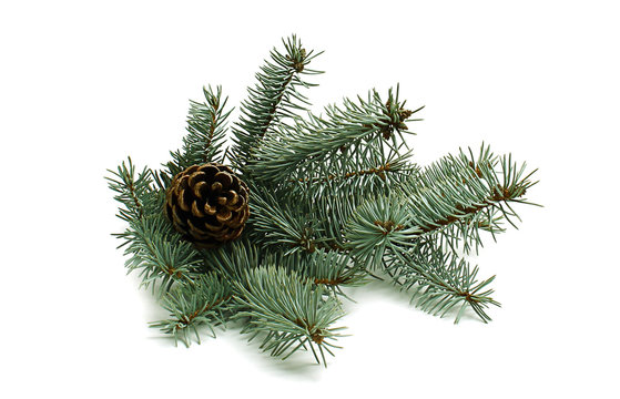 Christmas tree with pinecone