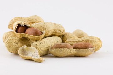 Peanuts kernel isolated on white