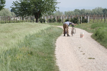 Fototapeta premium anziano in bici in campagna