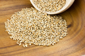 Wheat grains