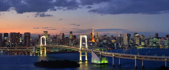 Poster Im Rahmen Panorama der Bucht von Tokio © stefan137