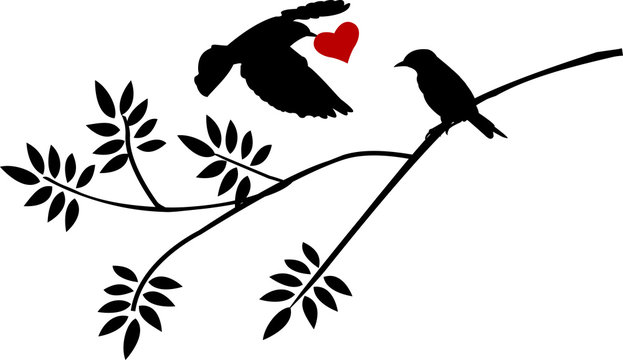 flying bird silhouette with a love for birds on a branch