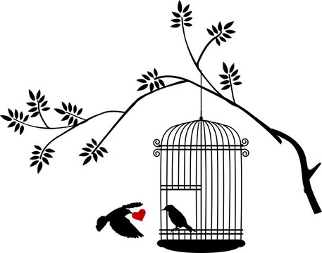 illustration flying birds with a love for the bird in the cage