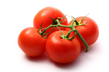 Tomatoes on the white background