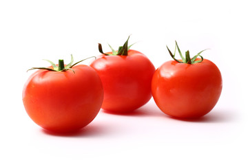 Tomatoes on the white background