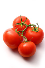 Tomatoes on the white background