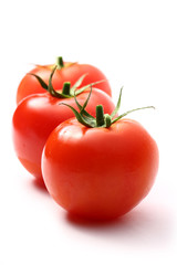 Tomatoes on the white background