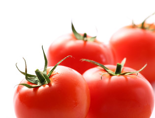 Tomatoes on the white background