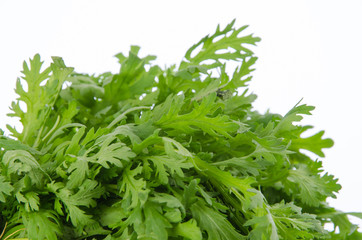 Garland chrysanthemum