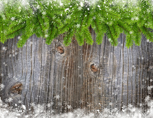 Snowbound branches of spruce are on an old wooden background