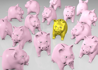 golden piggy into the pink crowd