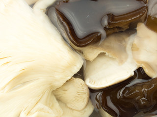 Close up of pickles mashrooms
