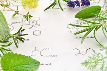 herb and science