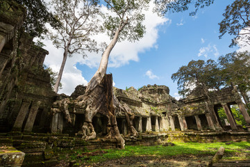 Angkor © Galyna Andrushko