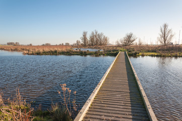 Narrow wooden gangway over a natural pond