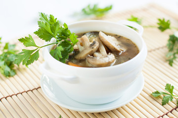 hot vegetable soup in tureen