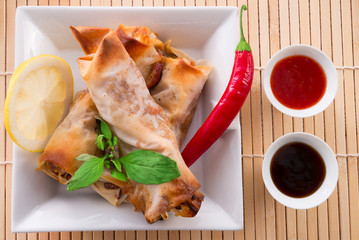 Spring roll