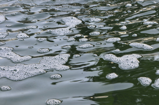 White Foam on the surface of green water