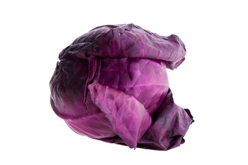 Fototapeta premium Red cabbage isolated on white