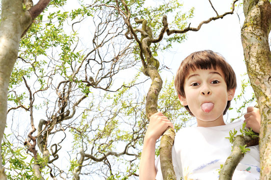 Young boy  in a tree sticks his tongue out