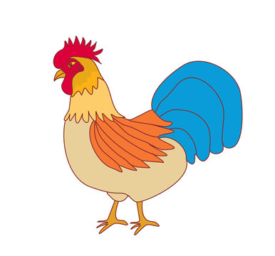 color cock