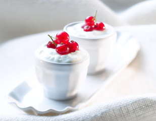 FROMAGE BLANC A LA GROSEILLE