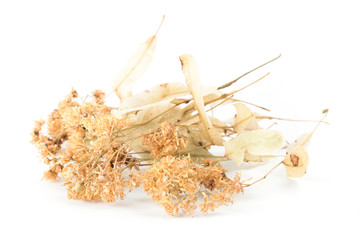 linden flowers