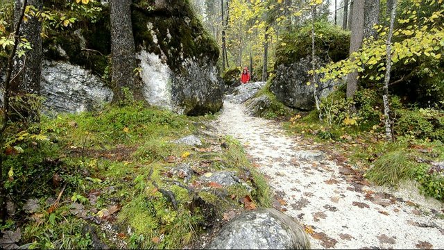 Frau in roter Jacke beim wandern im Wald