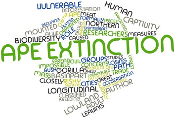 Word cloud for Ape extinction