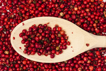 Red Pepper and Spoon