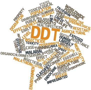 Word cloud for DDT