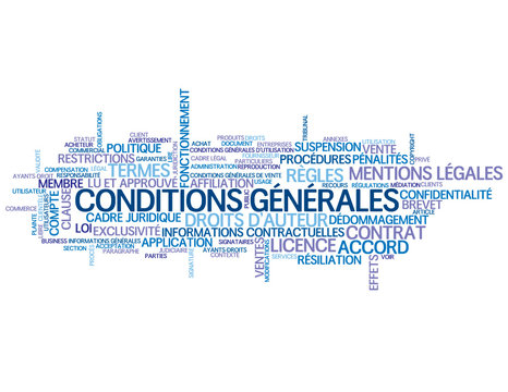 CONDITIONS GENERALES LLC visual data 5