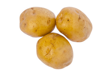 Potato