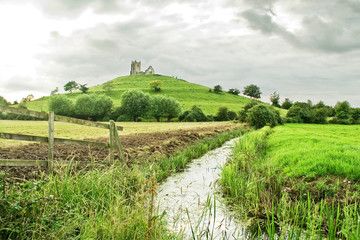 burrow mump