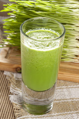 Green Organic Wheat Grass Shot