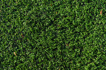 artificial grass field