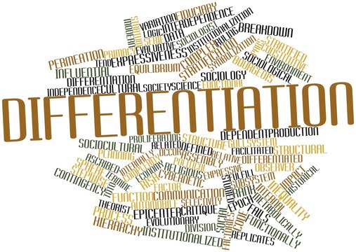 Word cloud for Differentiation