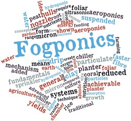 Word cloud for Fogponics