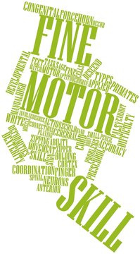 Word cloud for Fine motor skill