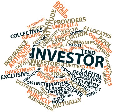 Word cloud for Investor