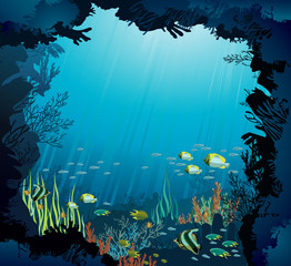 Underwater life - Coral reef and fish