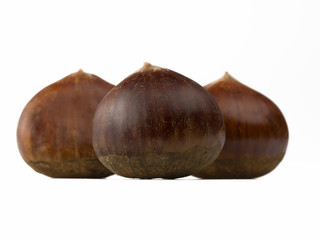 chestnuts isolated on white background