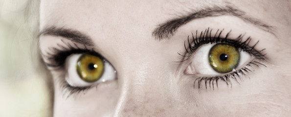 Yellow Eye - Beautiful, Feminine