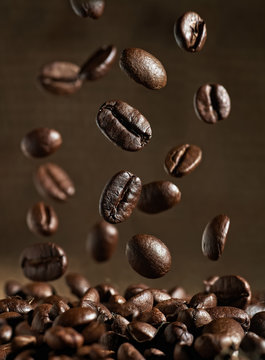 Closeup of coffee beans with focus on one © Aleks_ei