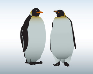 Penguins