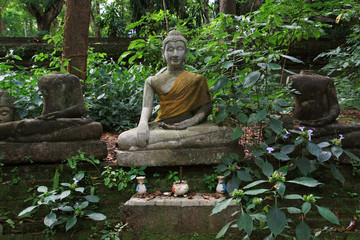 Ancient statues of Buddha in a forest temple