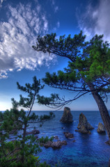 青い海と青空と松　The blue sea and blue sky, and pine